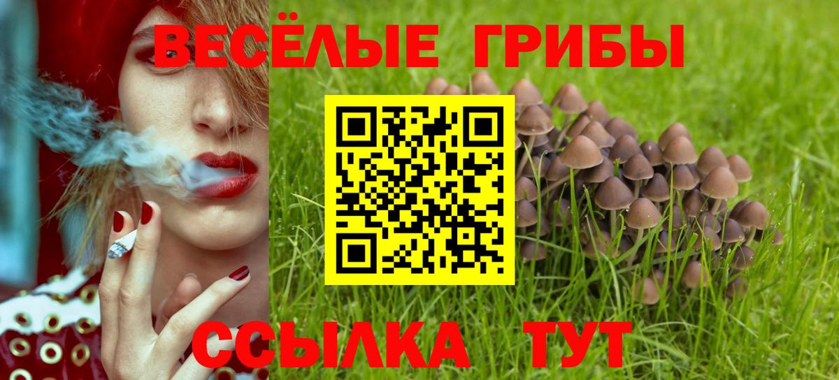 Изобильный  Псилоцибиновые грибы Psilocybe  Вход с VPN 